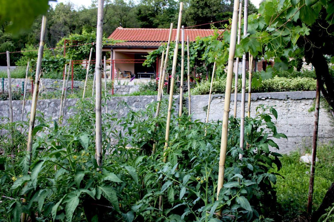 Holiday Home Gazevic Virpazar Exterior photo