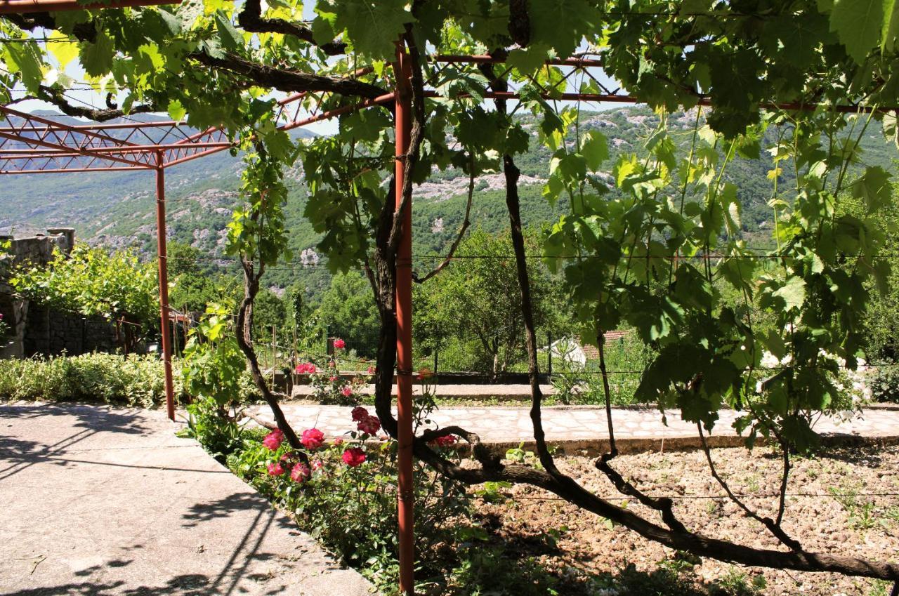 Holiday Home Gazevic Virpazar Exterior photo